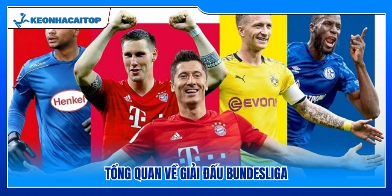 Giới thiệu về giải Bundesliga