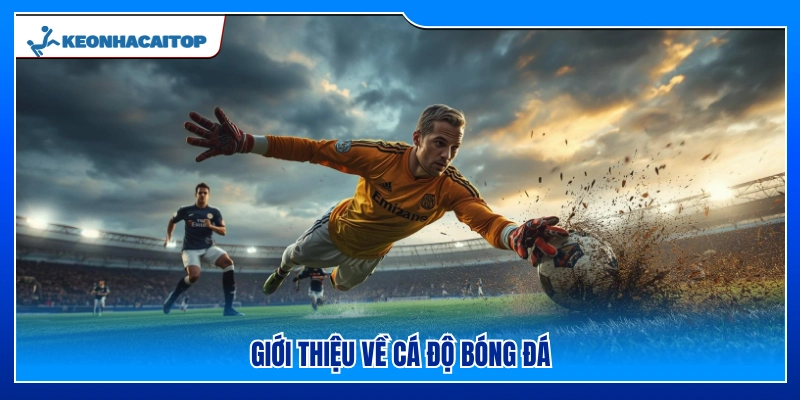 Tìm hiểu về cá độ bóng đá và cách thức hoạt động