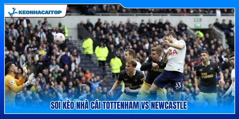 Phân tích tỷ lệ cược trận Tottenham vs Newcastle